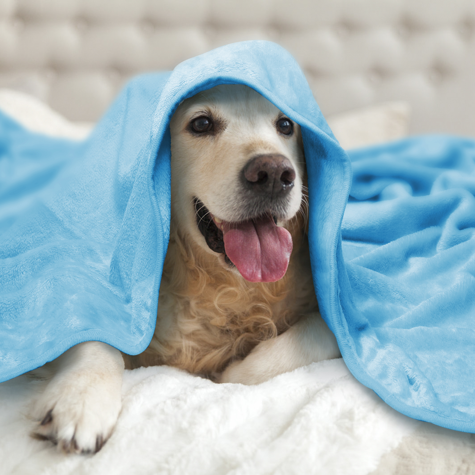Manta de pelúcia macia azul Nobleza para cães e gatos