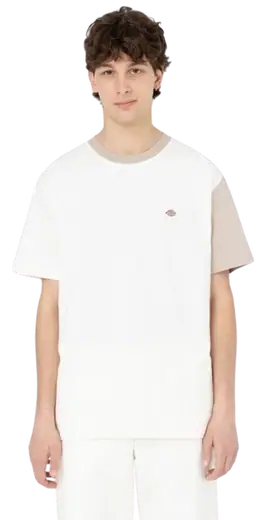 Dickies Eddyville T-Shirt | SkatePro