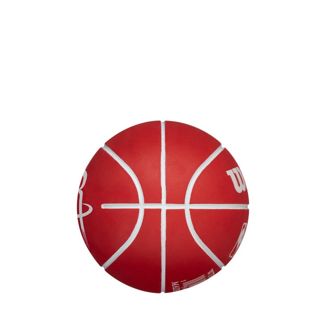 NBA Team Dribbler Basketball