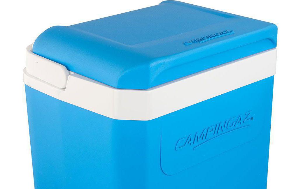 Kühlbox Icetime Plus 26 lPassivkühlbox