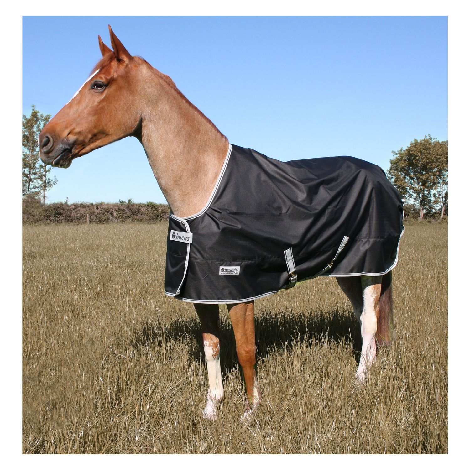 bucas Outdoordecke Anniversary Turnout 150 Stay-Dry - black