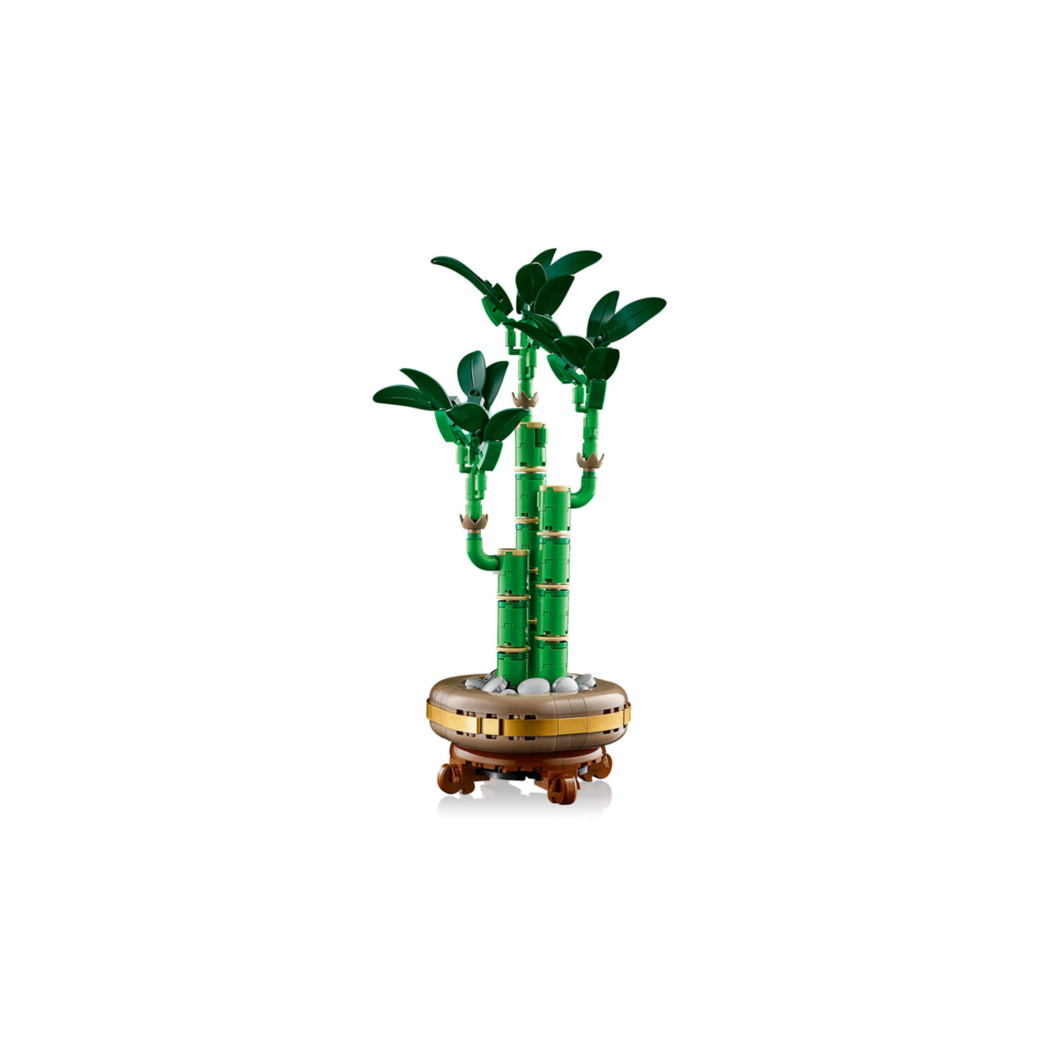 LEGO® Botanicals 10344 Glücks-Bambus aber 18 Jahren