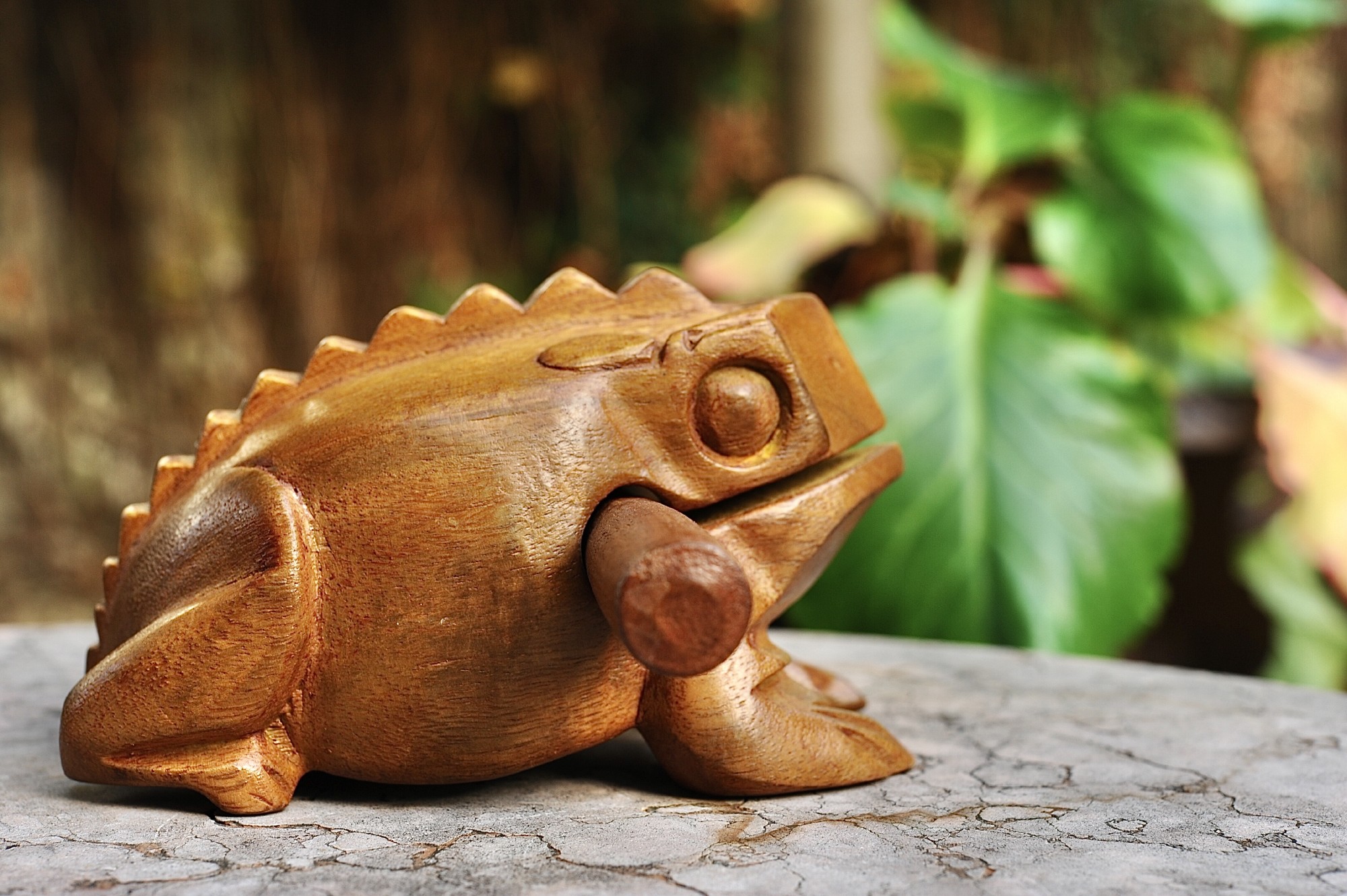 Klangfrosch aus 'Albesia'-Holz, hellbraun, T 18 cm, B 10 cm, H 10 cm günstig bestellen