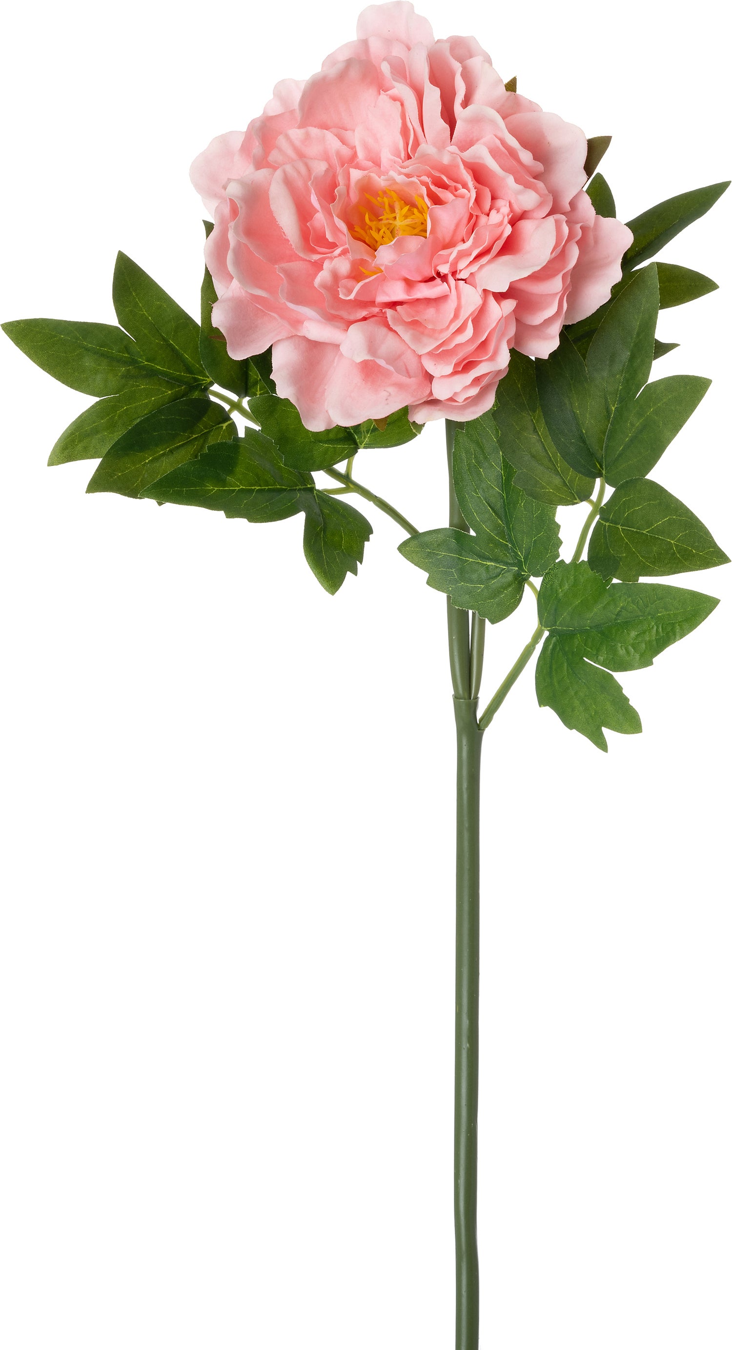 Intratuin kunstbloem Pioen roze 60 cm