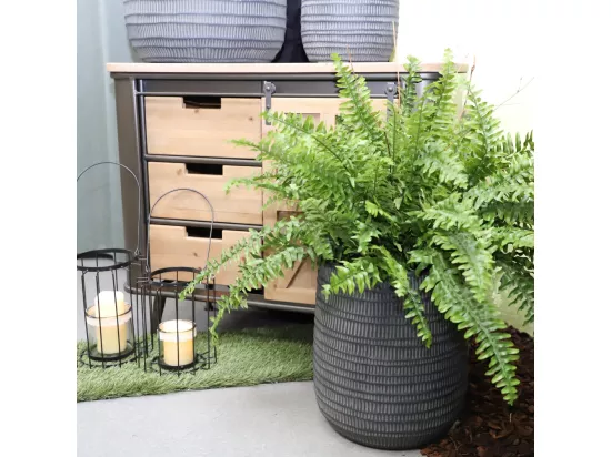 3 Cache-pots grandes tailles plante extérieur béton noir 29-39-50cm
