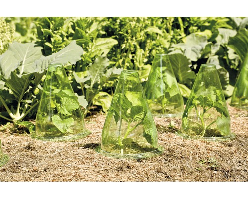 Plantenhoed FloraSelf Ø 19,5 H 23 cm 10 stuks