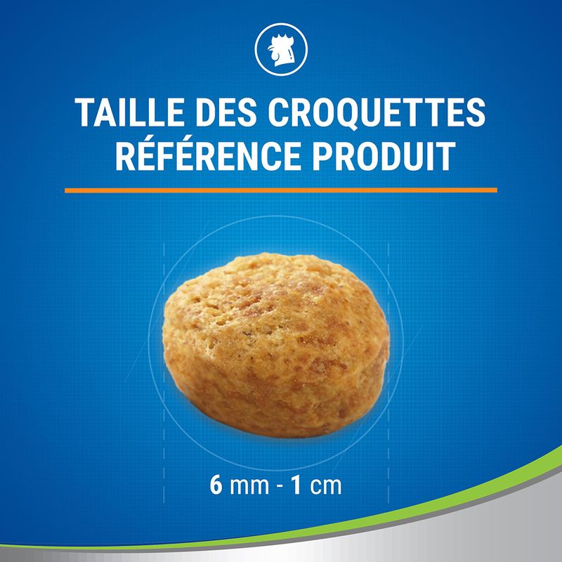 PURINA Dentalife poulet