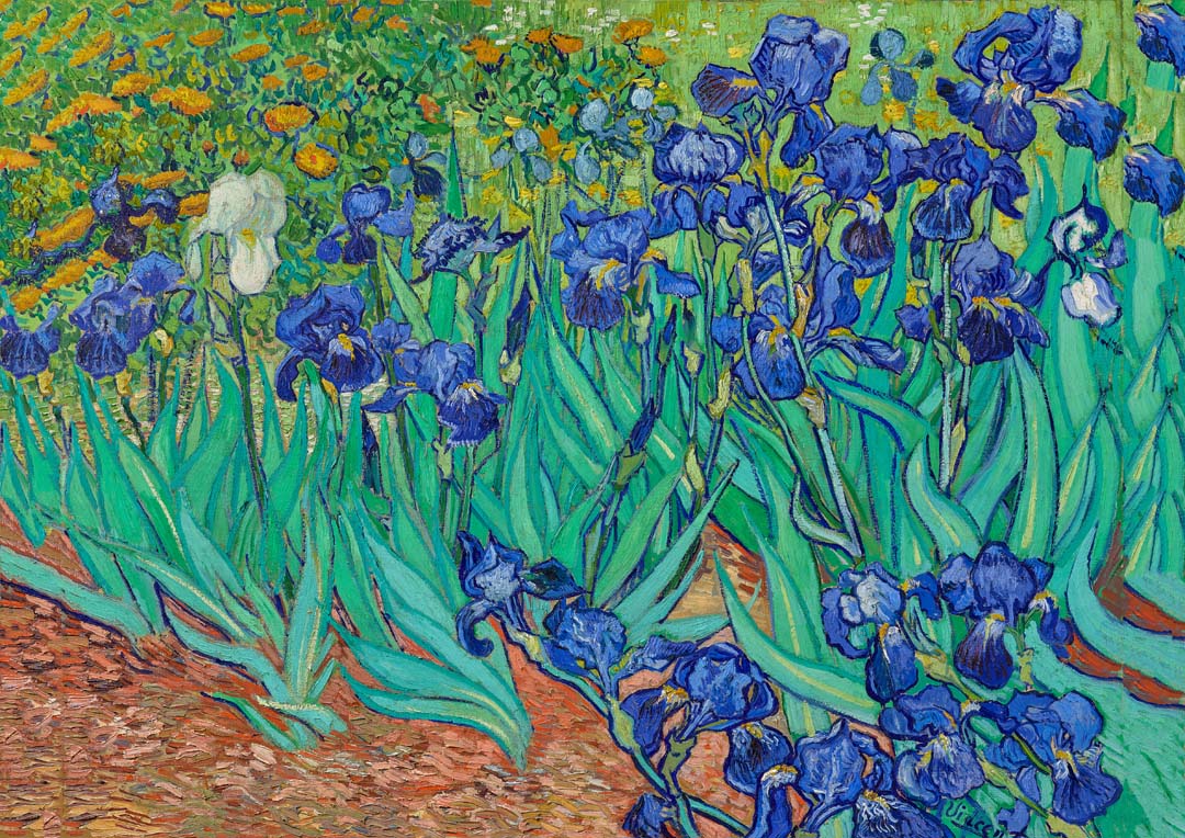 Schwertlilien von Van Gogh