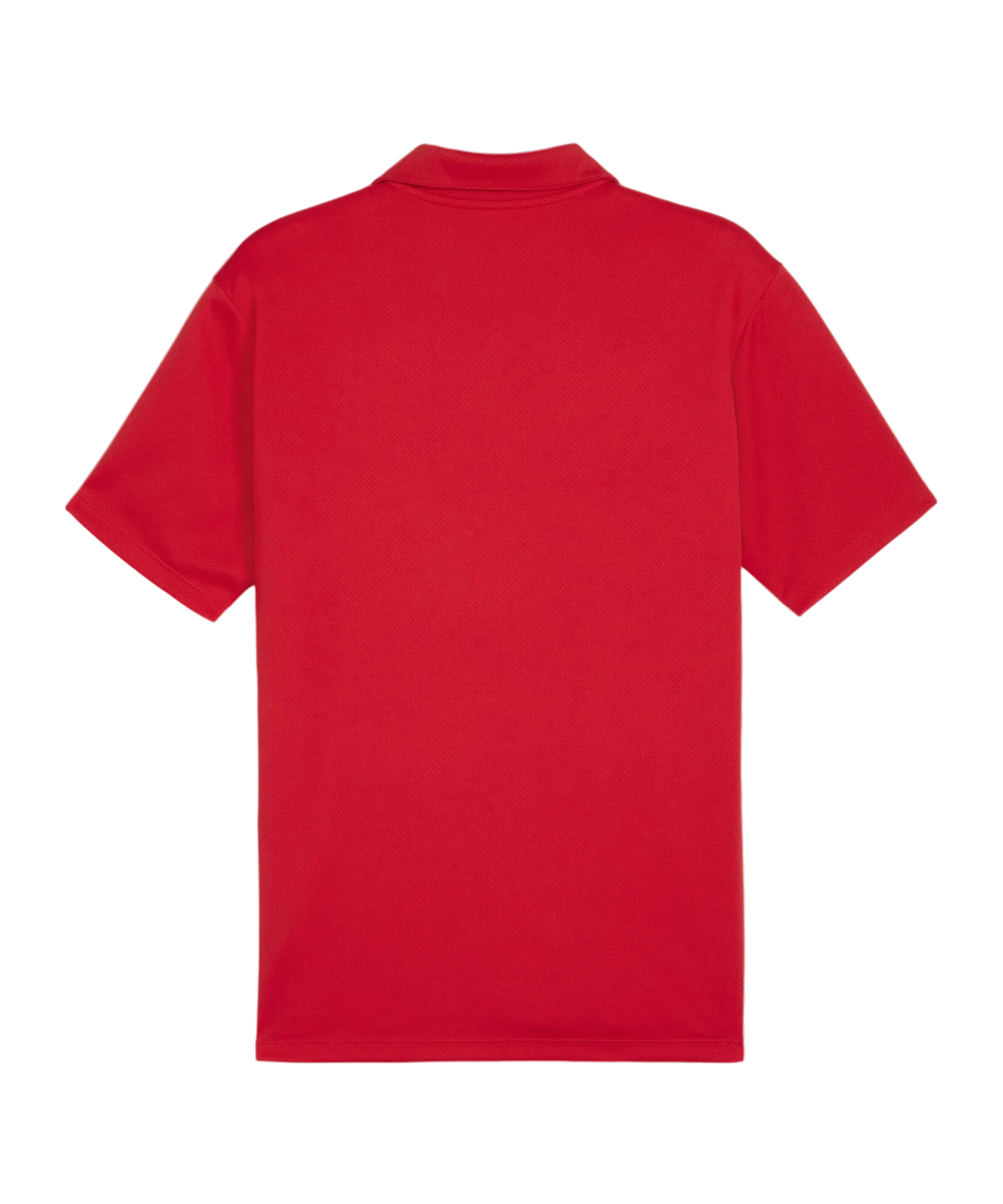 PUMA teamGOAL Poloshirt Rot F01