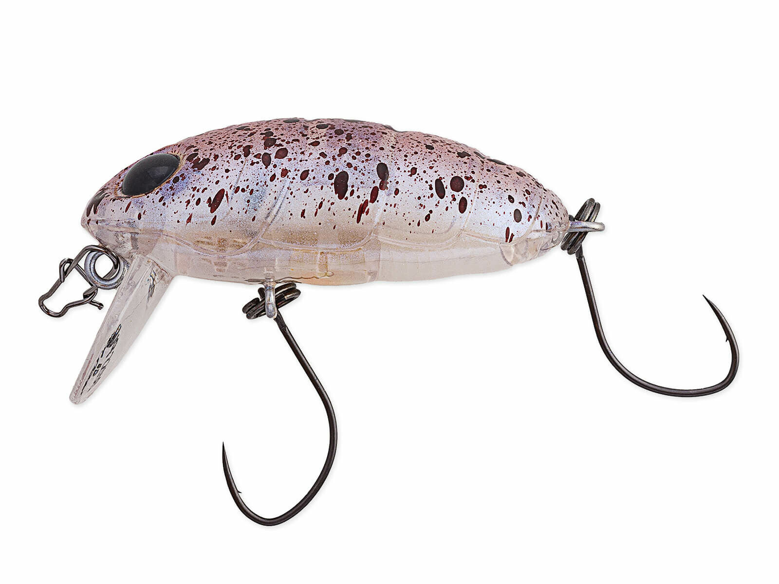 Crankin Boss Pupa Shallow (345) Gomafu Azarashi(Nories)