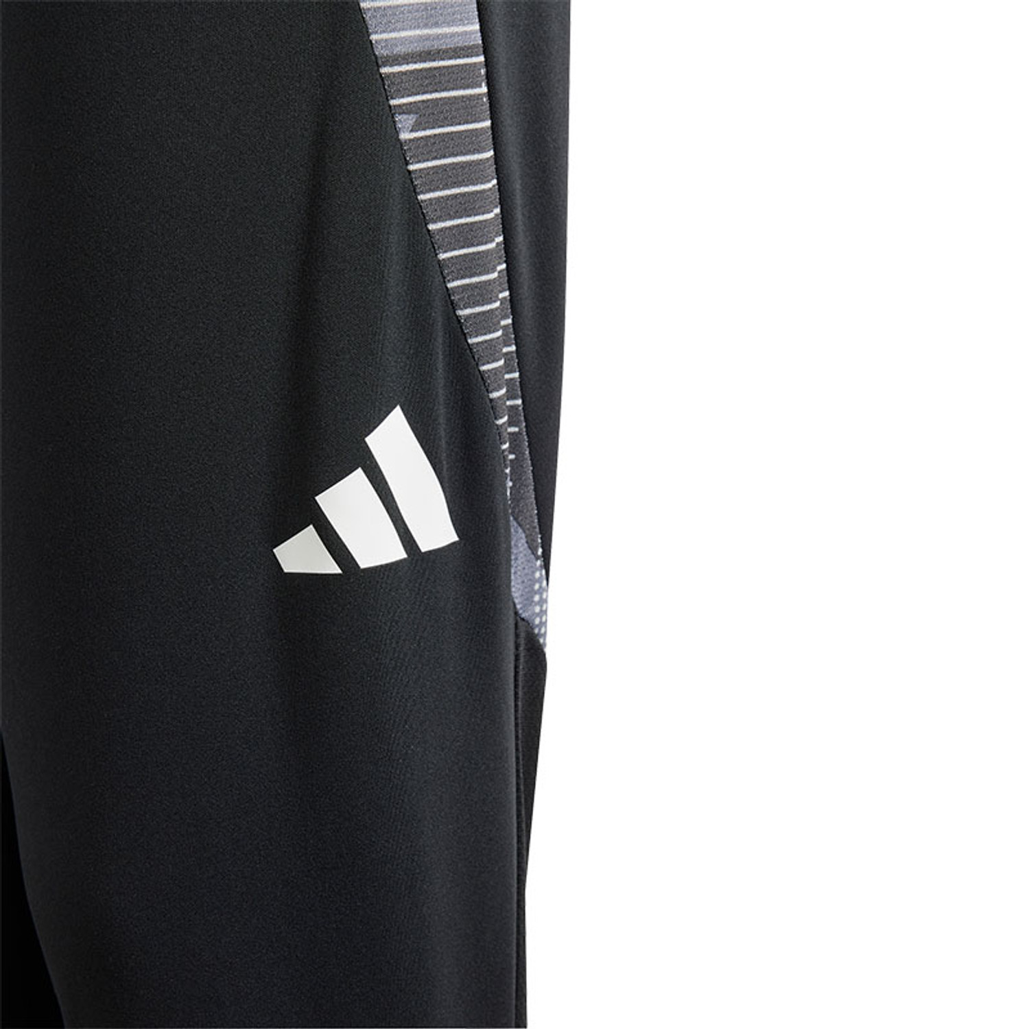 adidas Tiro 24 Competition Training Pant Kids