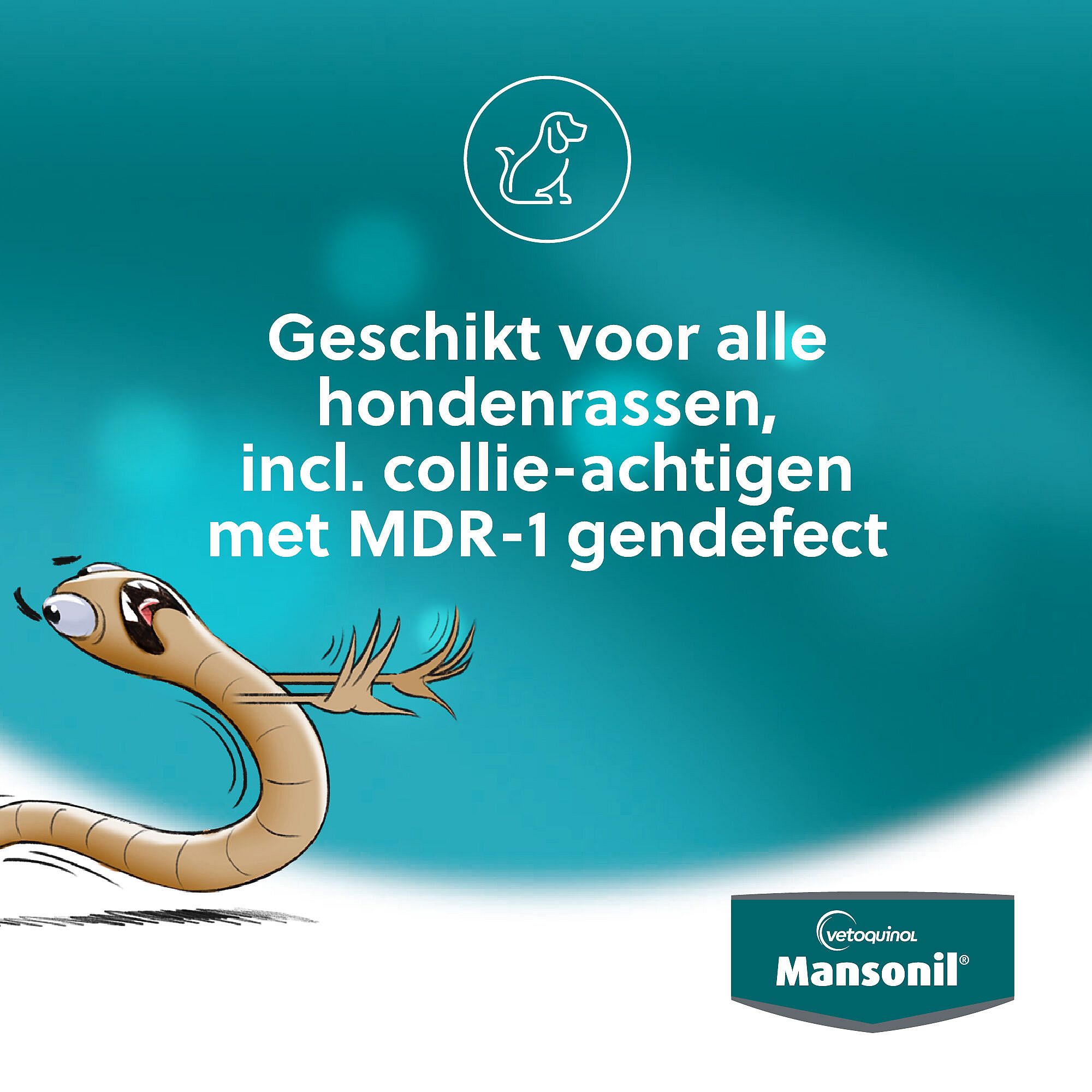 Bayer Mansonil All Worm Grote Hond 2 tabletten ontworming