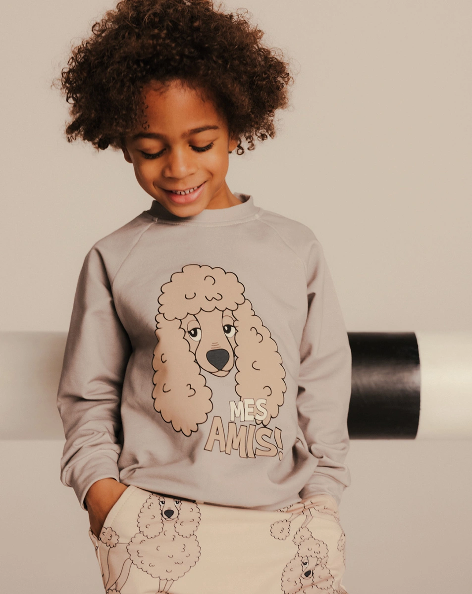 Sweatshirt MES AMIS in grey