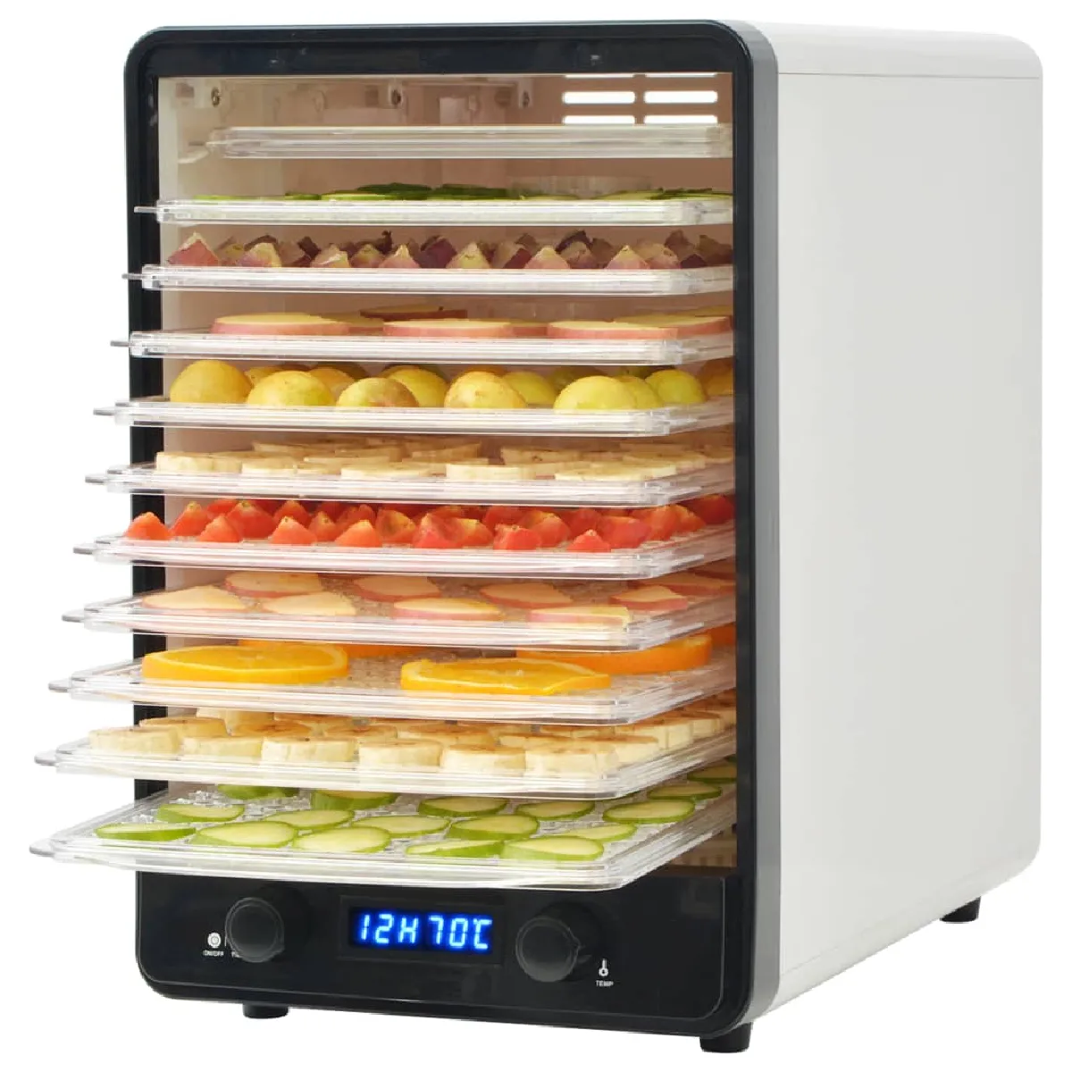 VidaXL Déshydrateur 10 plateaux