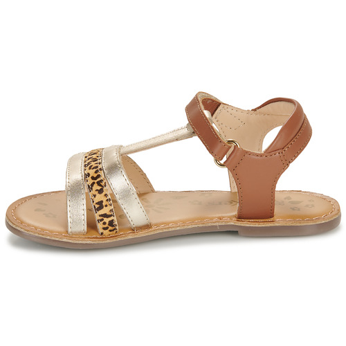 Kickers - DIAMANTO - Camel / Doré / Leopard