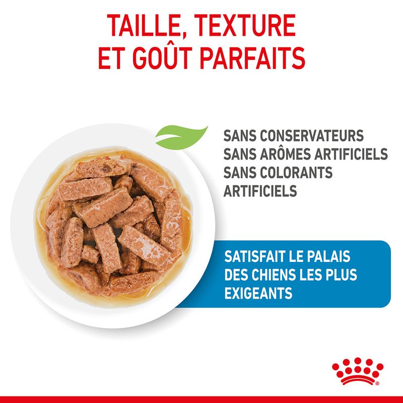 Royal Canin Maxi Puppy en sauce