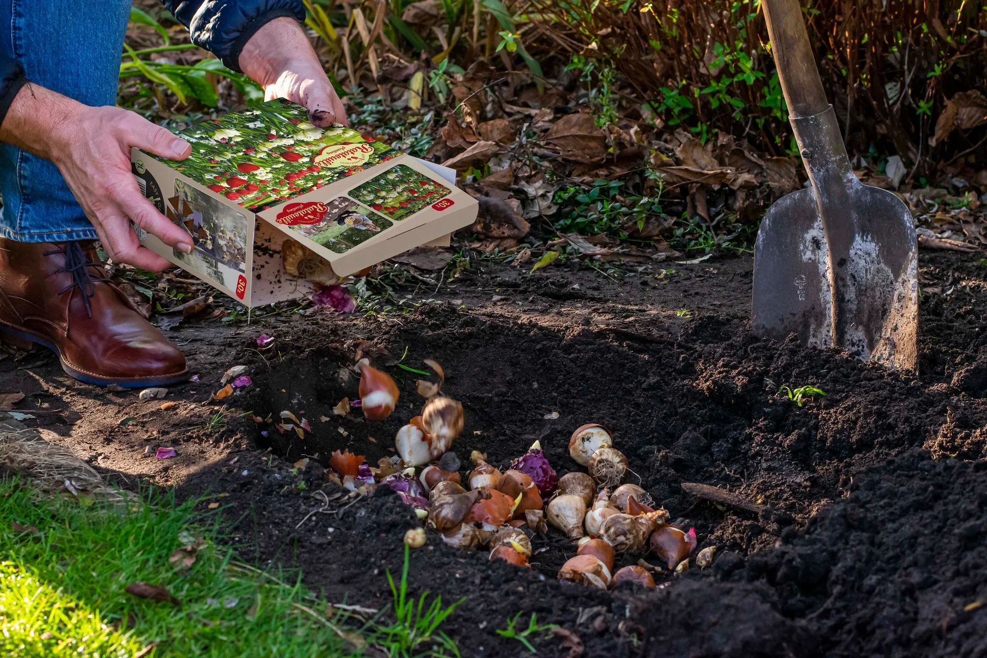 Plantagen Vårblomstrende løkmiks Ratatouille