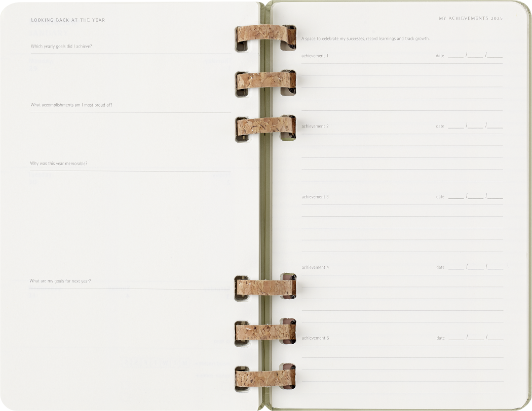 Life Planner 2025 L 12-Month, Spiral