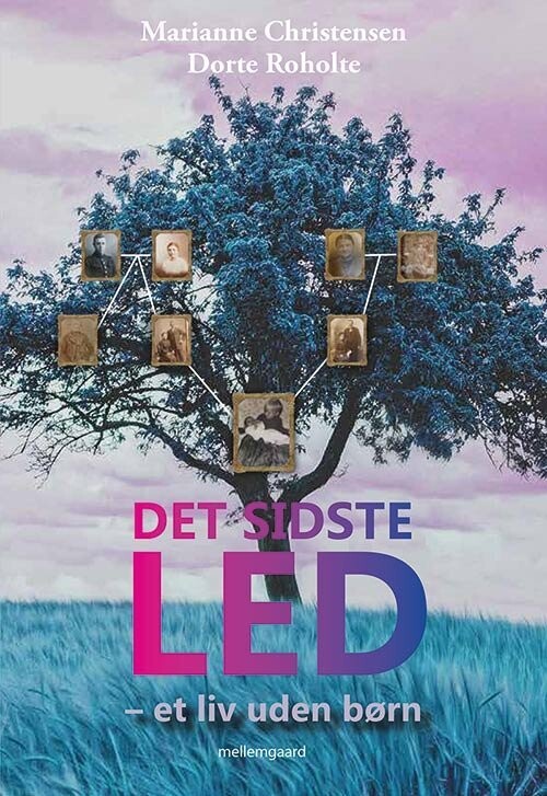 Det Sidste Led - Dorte Roholte - Bog