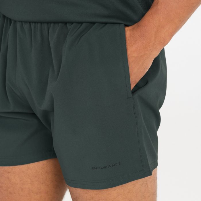Endurance Herre Shorts Kros Shorts Grøn