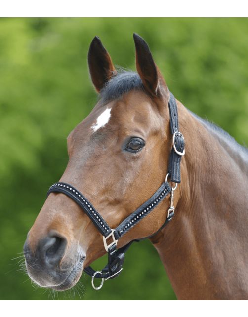 Waldhausen Halster Chrystal Verstelbaar Zwart - Paardenhalster
