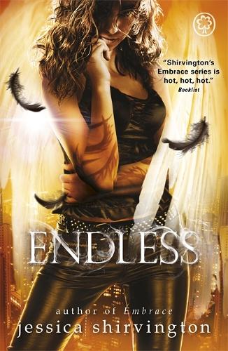 Embrace: Endless: Book 4 - Embrace (Paperback)