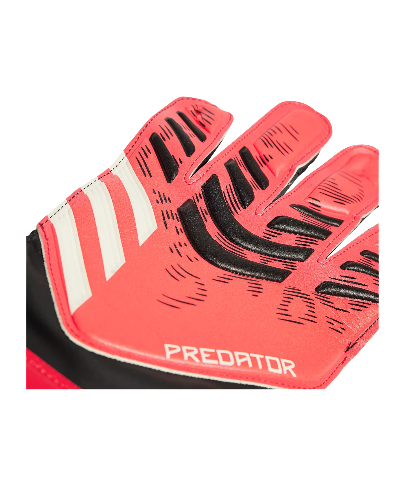 adidas Predator Training Pure Victory Torwarthandschuhe Schwarz