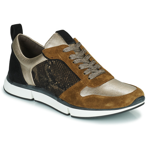 Adige - VANILLE2 V3 GALAXY ONYX - Marron