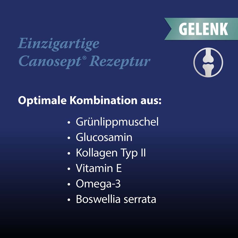 Canosept® Gelenk-Tabletten