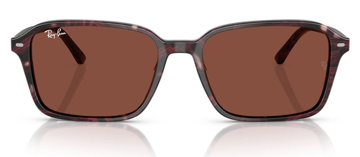 Ray-Ban<br>Raimond