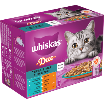 Whiskas 1+ Kattenvoer - Duo Surf & Turf in gelei - maaltijdzakjes 12x85g