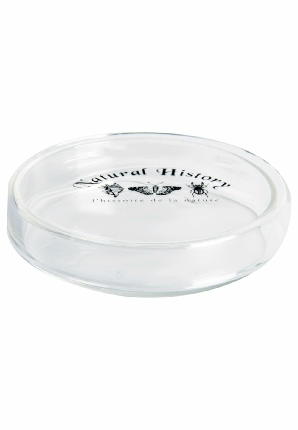 Boite de pétri 120 ml