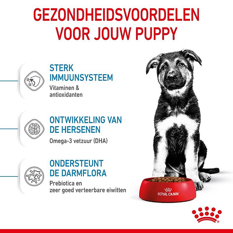 ROYAL CANIN® Large Dog Junior 25-45Kg - Hondenvoer voor de spijsvertering en gewrichten van pups van grote honden