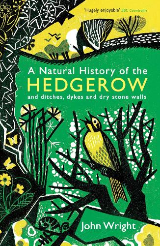 A Natural History of the Hedgerow: and ditches, dykes and dry stone walls (Paperback)