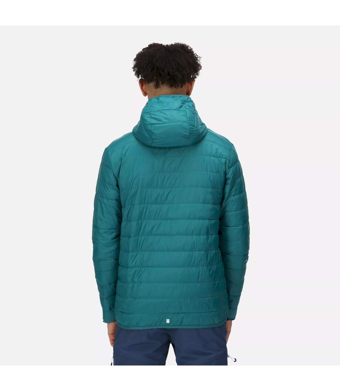 Regatta - Veste HILLPACK - Homme (Sarcelle) - UTRG8445