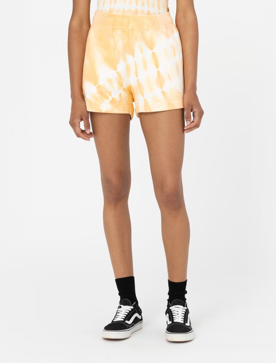 Dickies Westfir Short Women Sky Blue