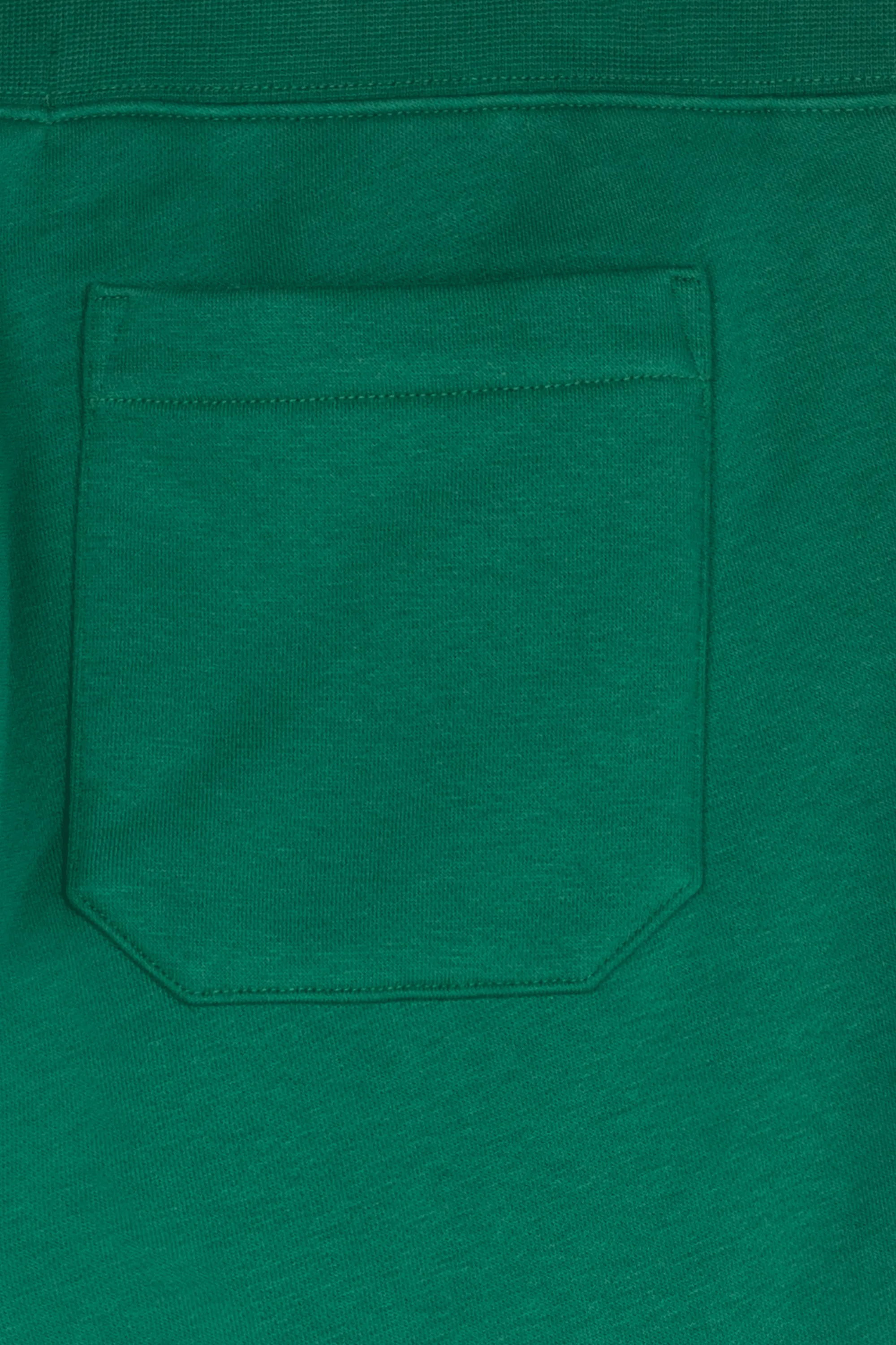 POLO RALPH LAUREN Jogging SPORT FLEECE Vert