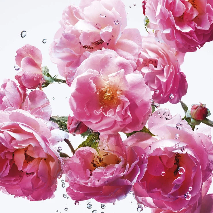 DIOR Miss Dior Rose N'Roses Eau de toilette