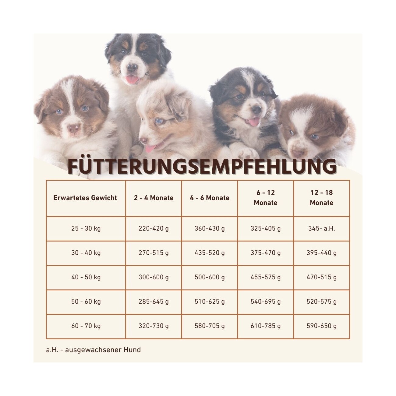 Wildfang ® Junior Trockenfutter mit Lachs 2 kg