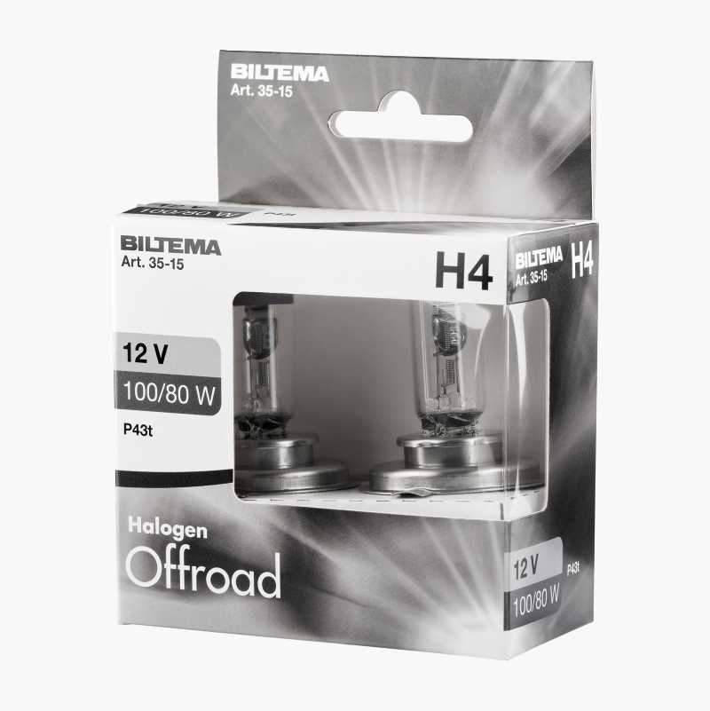 Halogenpære Offroad H4, 12 V, 100/80 W, 2 stk.