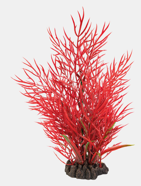 Superfish Art Plant 25cm Ludwigia | Aquarium planten