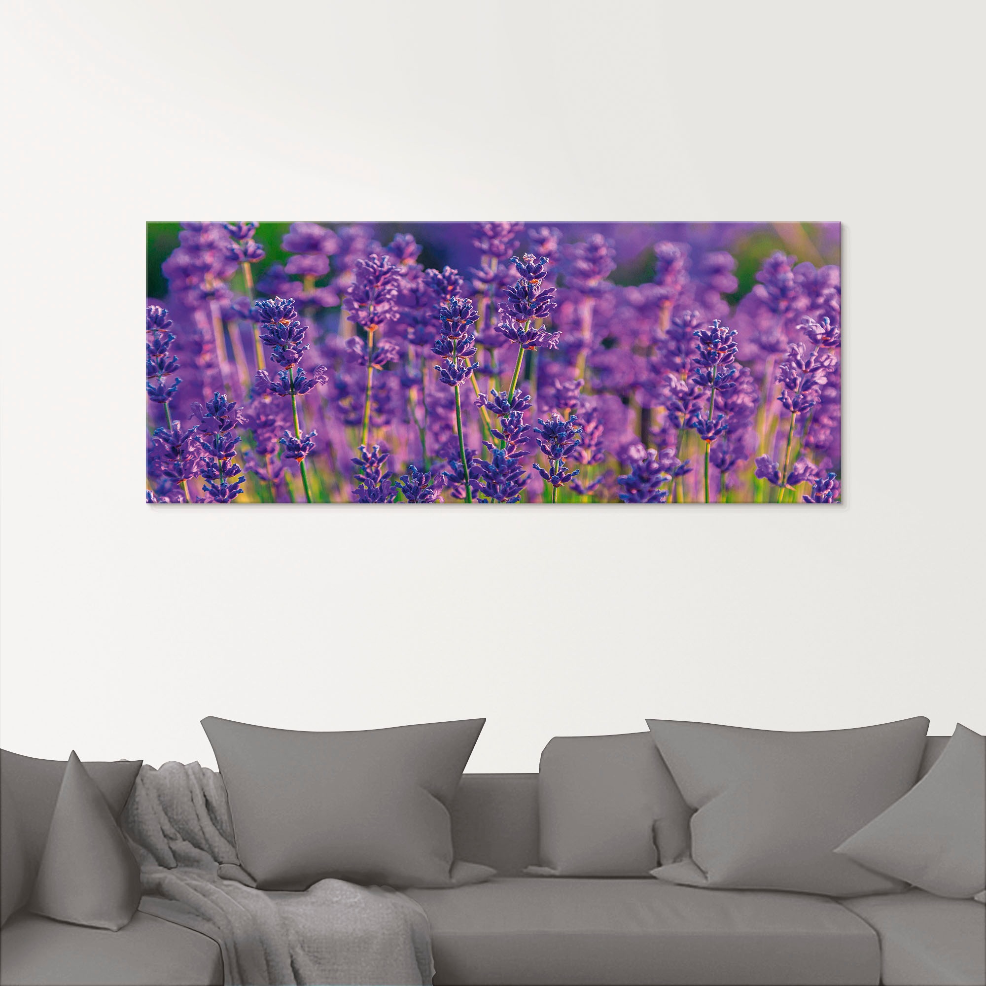 Artland Glasbild »Lavendelfeld in Tihany, Ungarn« Felder 1 Stk. tlg. in verschiedenen Grössen