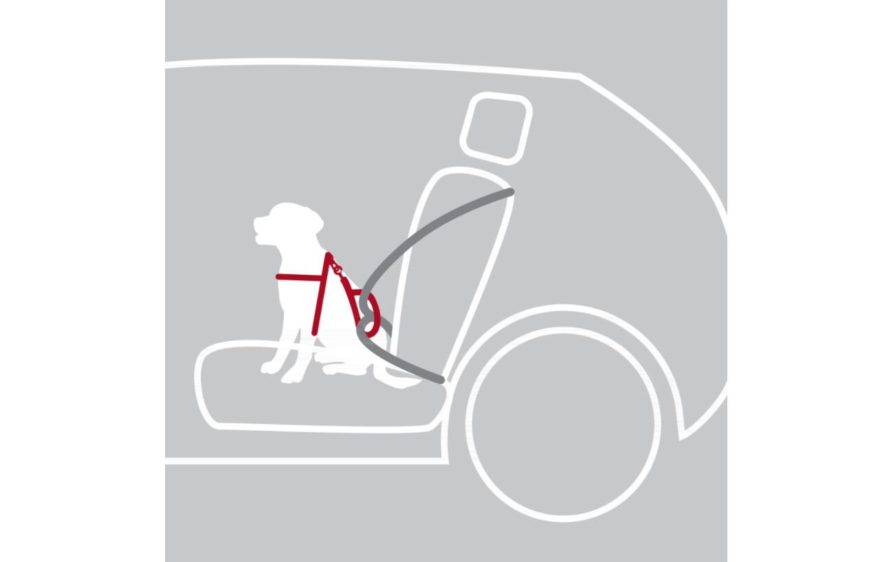 Auto-Geschirr Dog Protect S-MZur Befestigung beim Autofahren
