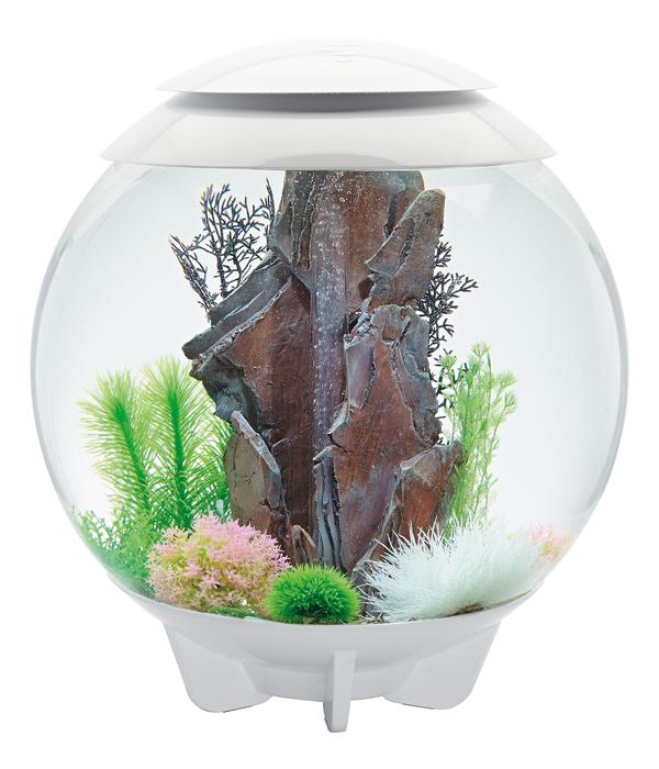 biOrb® Aquarium HALO 60 MCR