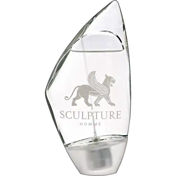 Sculpture Homme, EdT 100 ml
