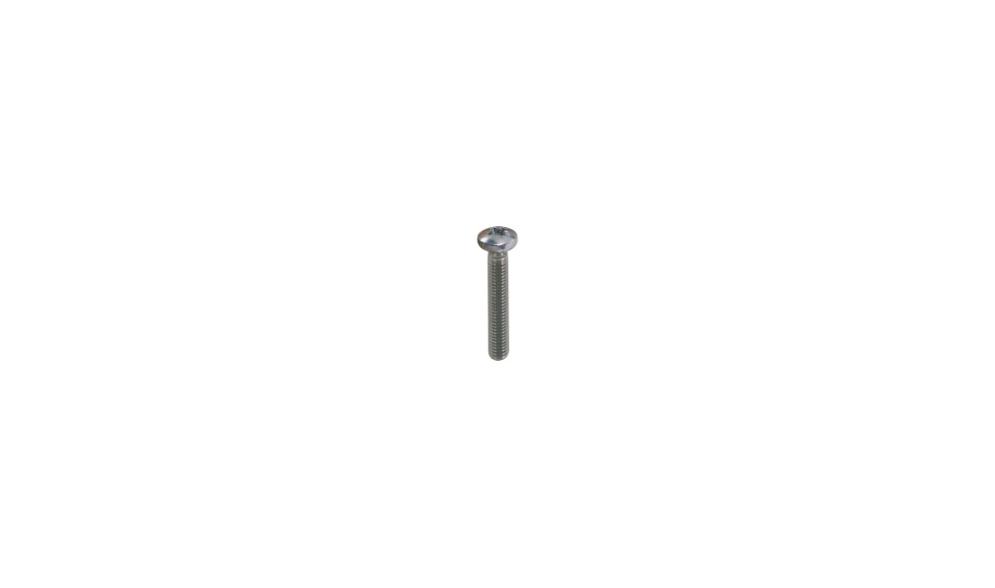 Maskinskrue Pan hoved 4x16 torx 10 stk a4 ISO 1483