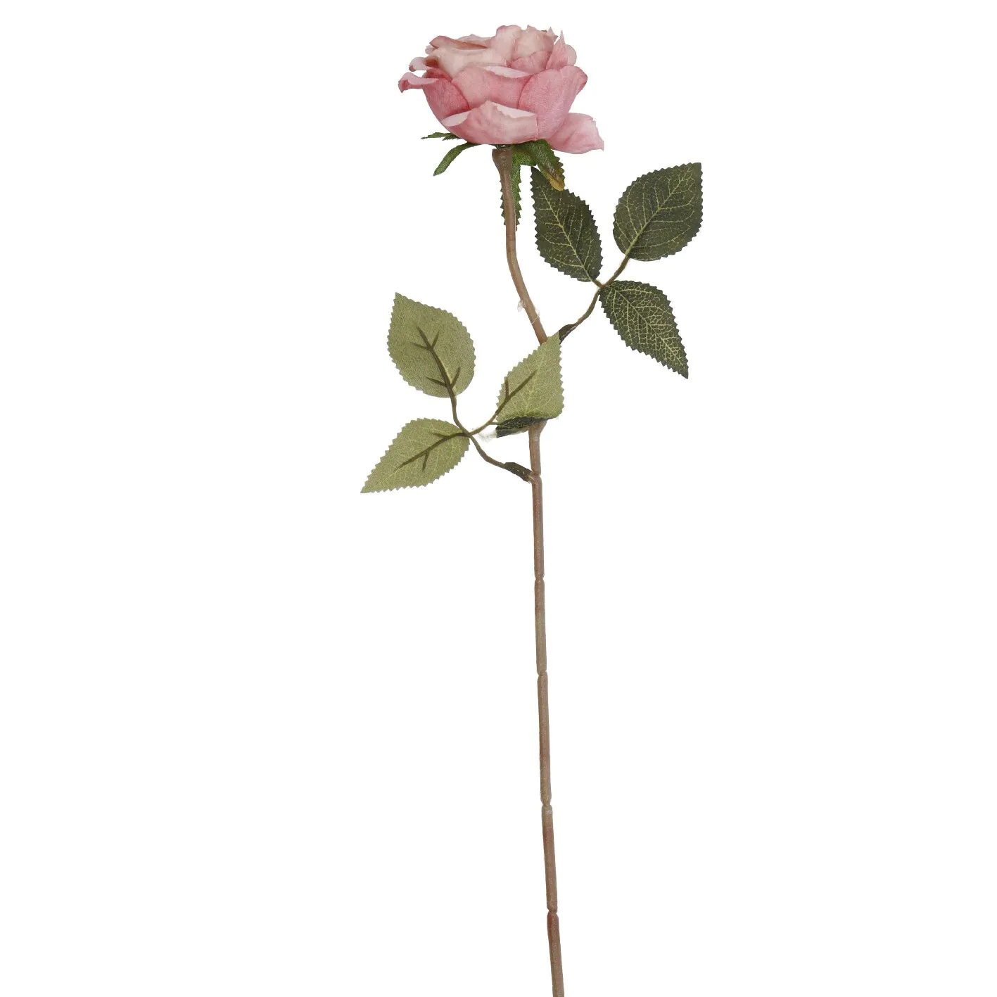 Rose Leonore, rosa, 38 cm