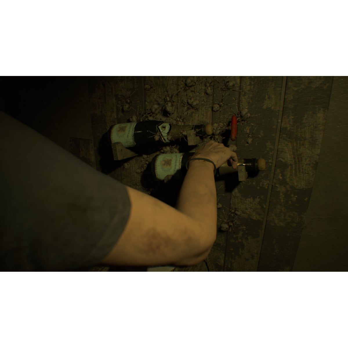 Banned Footage Vol.1 - PC Windows