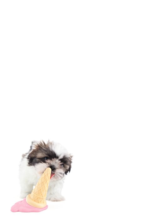 Studio Pets | Beterschapskaart | Met naam | Ijsje