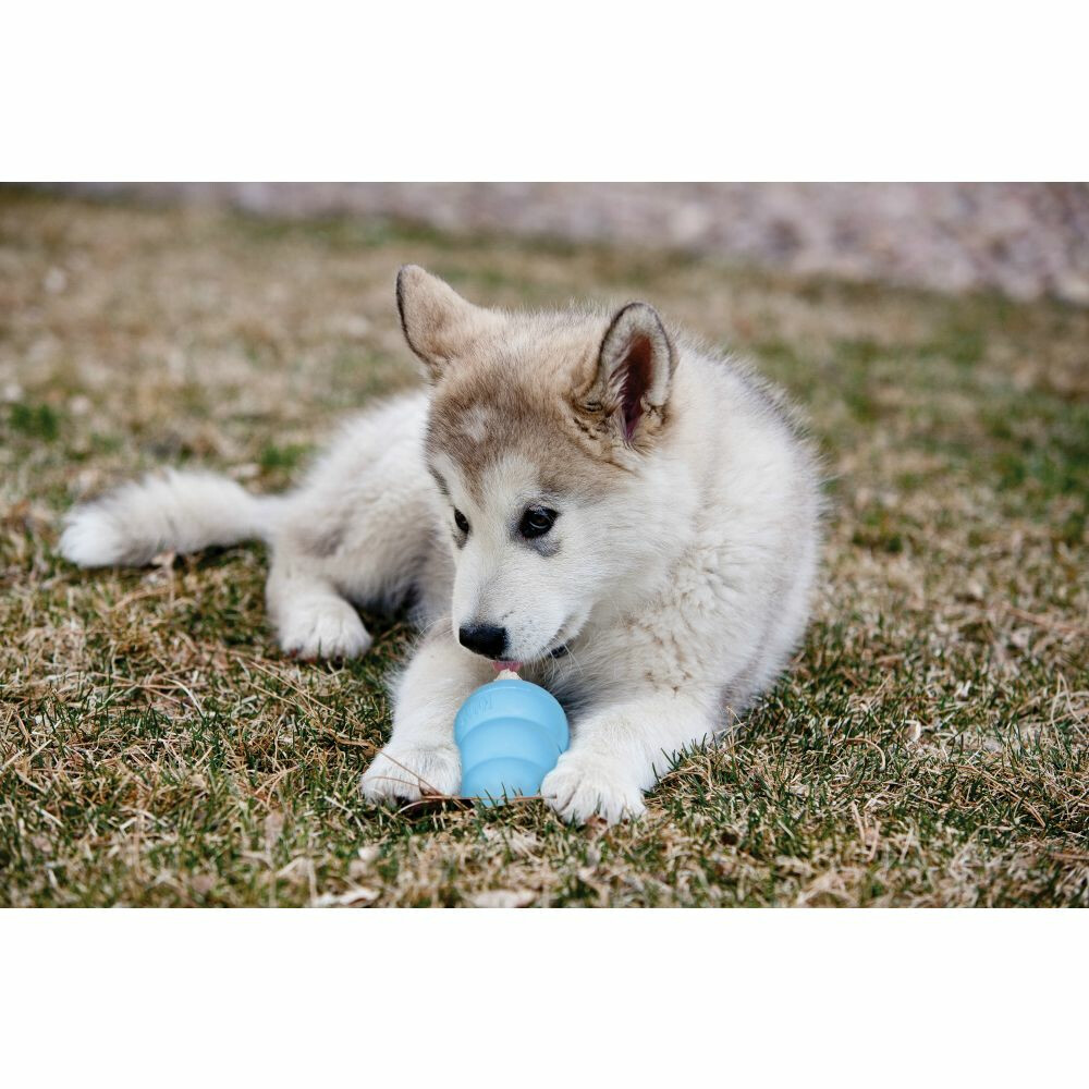 Kong Puppy L